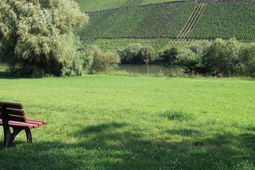 B&B Zum Treppchen Lösnich Esterno foto