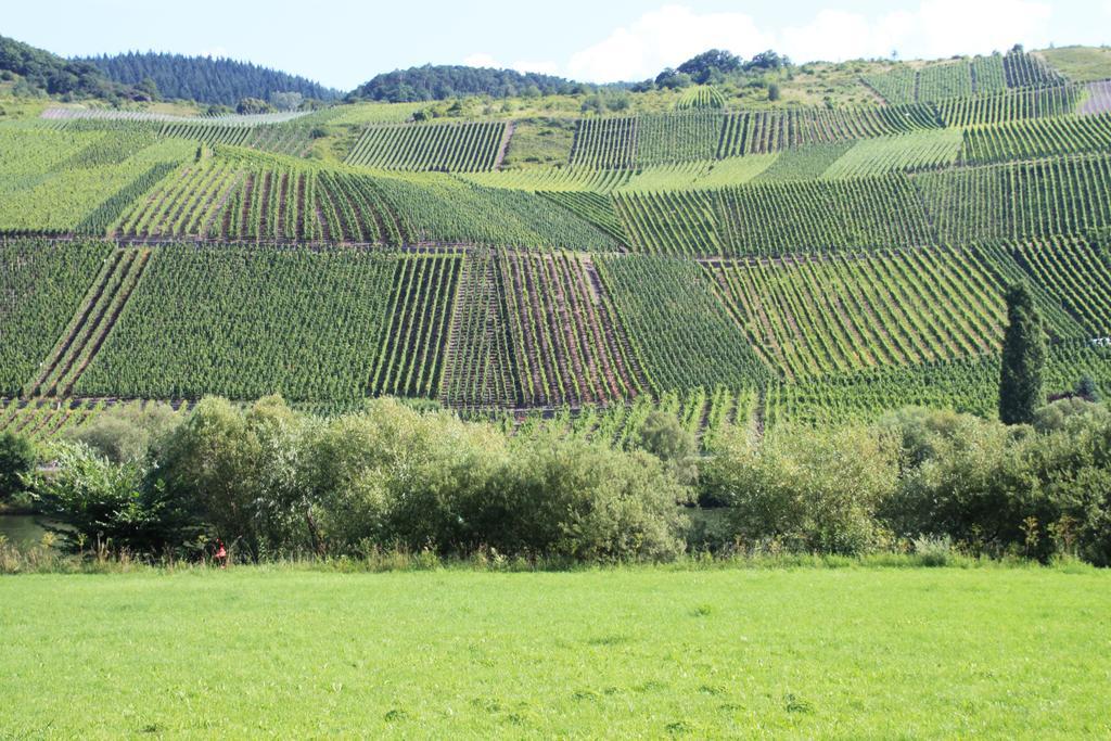 B&B Zum Treppchen Lösnich Esterno foto